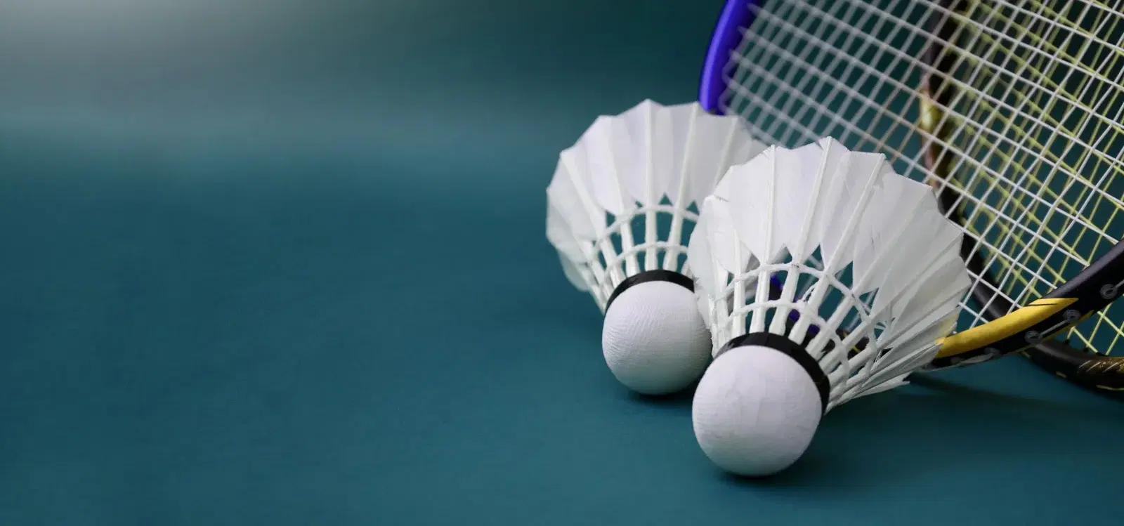 Badminton Open Play