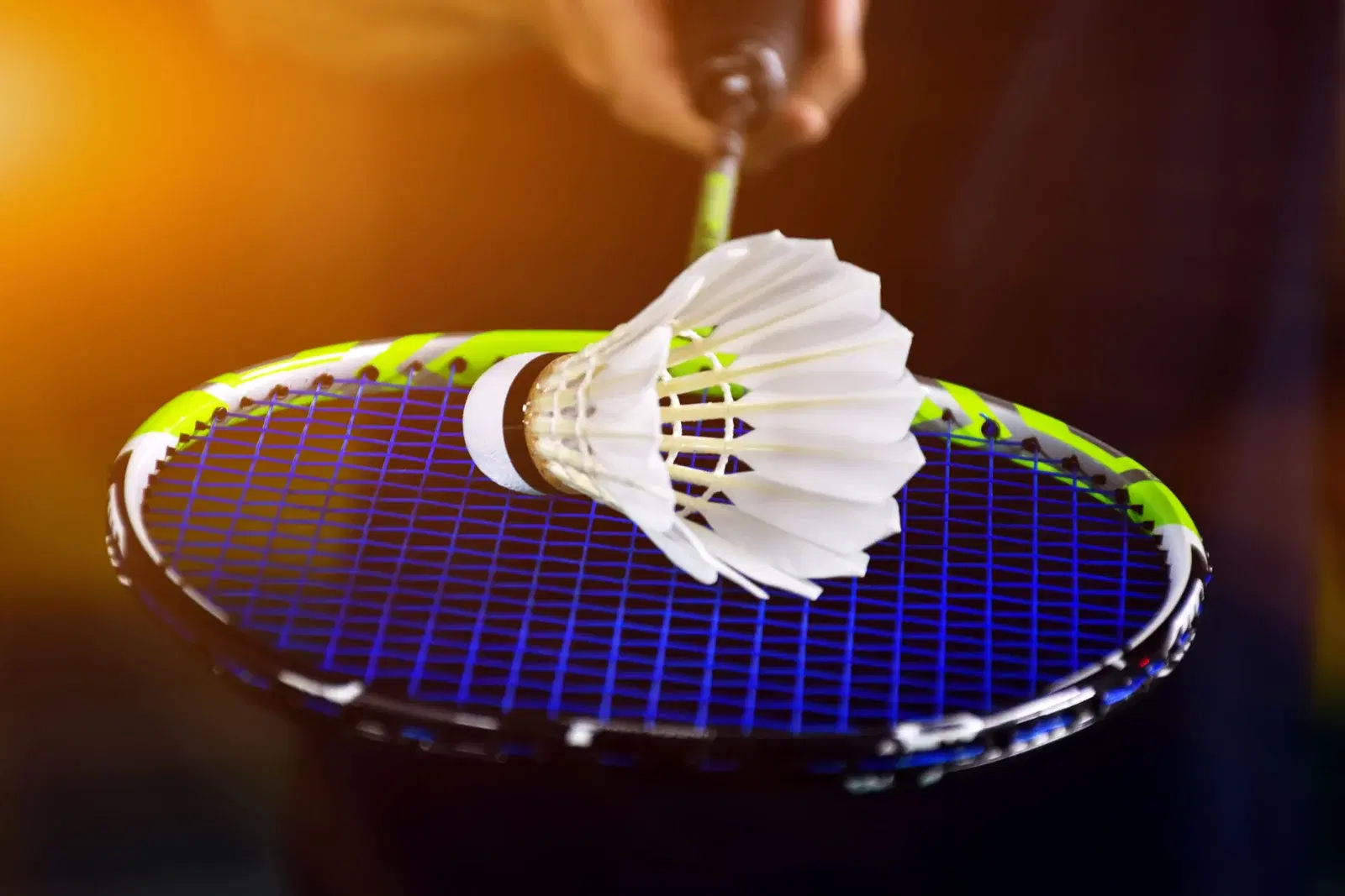 BADMINTON at PNT Club Naperville